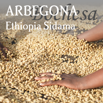Ethiopia Arbegona Bochesa - Organic