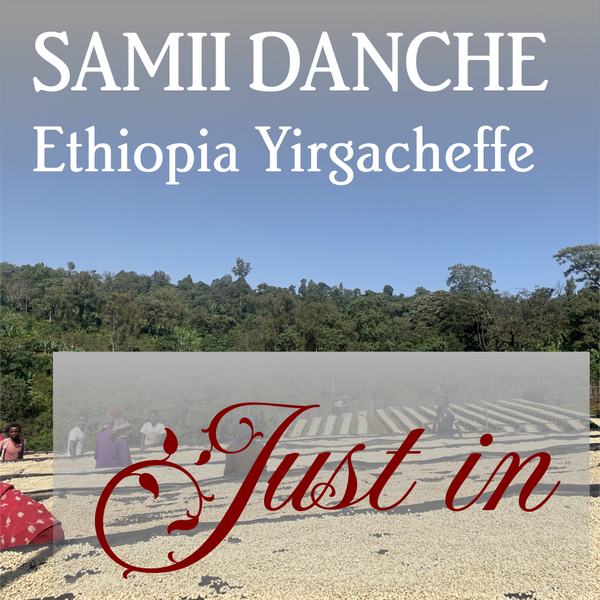 Ethiopia Yirgacheffe Samii Danche - Organic