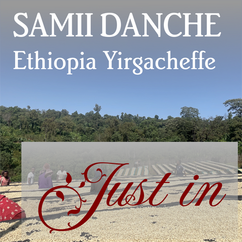 Ethiopia Yirgacheffe Samii Danche - Organic