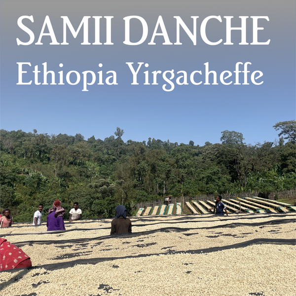 Ethiopia Yirgacheffe Samii Danche - Organic