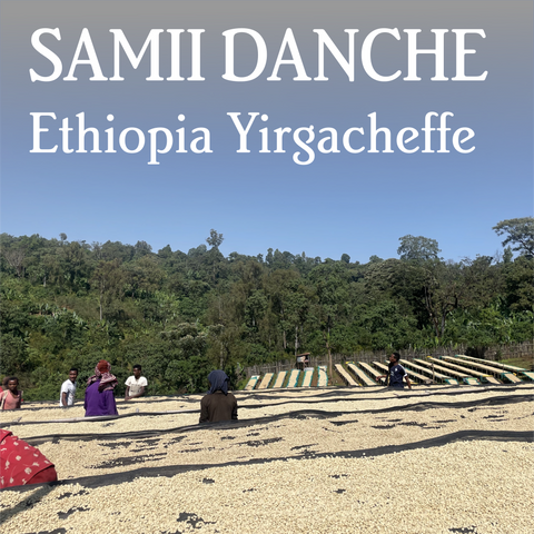 Ethiopia Yirgacheffe Samii Danche - Organic