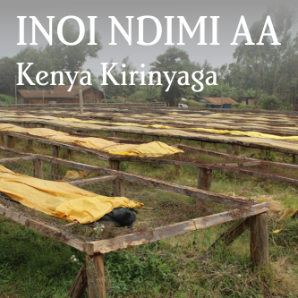 Kenya Kirinyaga Inoi Ndimi AA