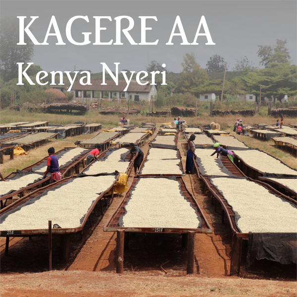 Kenya Nyeri Kagere AA