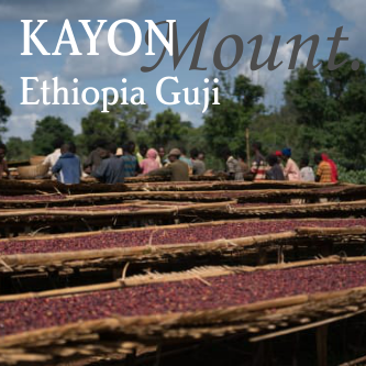 Ethiopia Guji Kayon Mountain - Organic