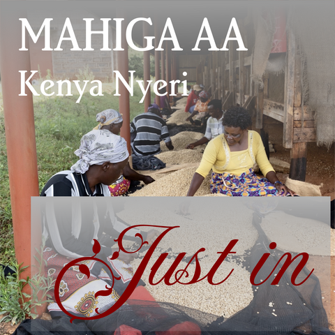 Kenya Nyeri Mahiga AA