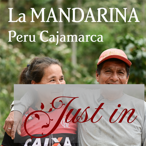 Peru Cajamarca La Mandarina by Irene Herrera - Organic