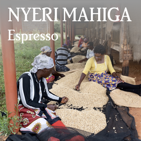 Kenya Nyeri Mahiga Espresso