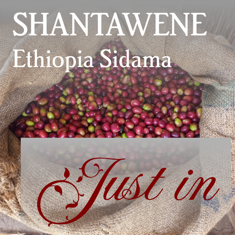 Ethiopia Sidama Shantawene - Organic