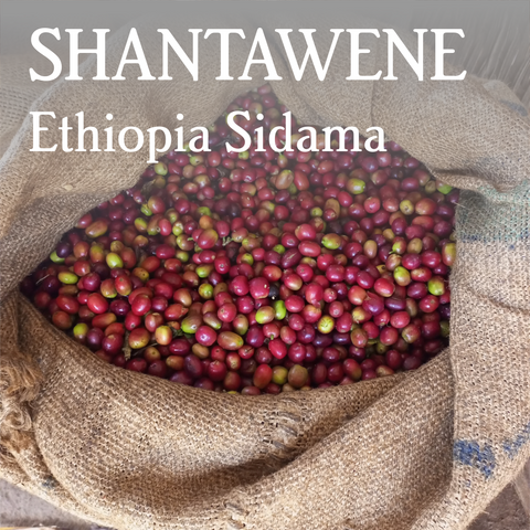 Ethiopia Sidama Shantawene - Organic (Roasted 25/11)