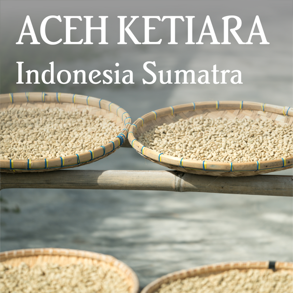 Sumatra Aceh Ketiara - Organic