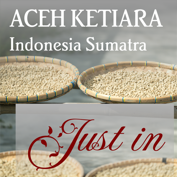 Sumatra Aceh Ketiara - Organic