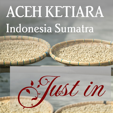Sumatra Aceh Ketiara - Organic