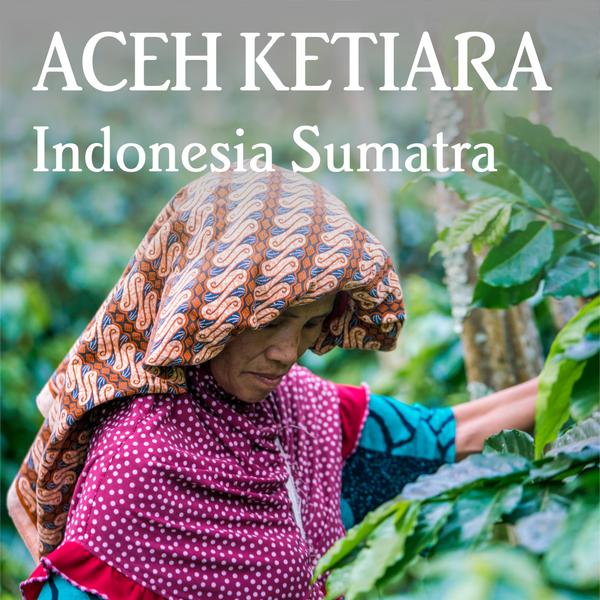 Sumatra Aceh Ketiara - Organic