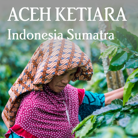 Sumatra Aceh Ketiara - Organic