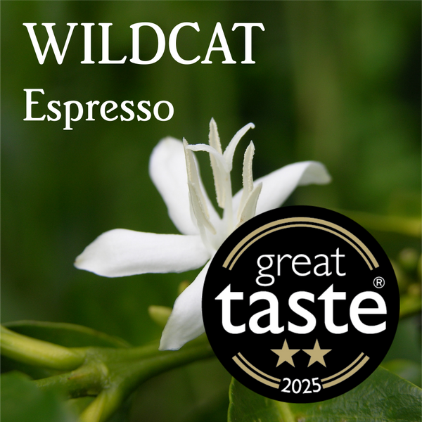 Wildcat Espresso - Organic