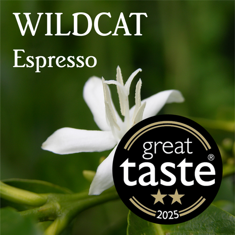 Wildcat Espresso - Organic
